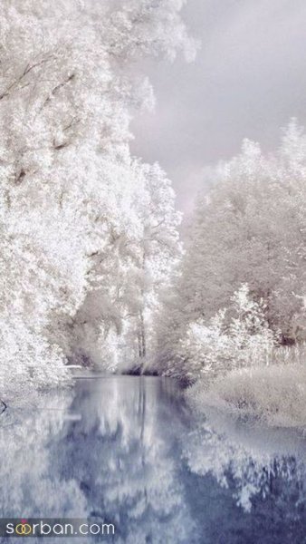  عکس برف واقعی