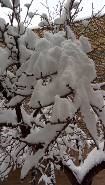 عکس آدم برفی ترسناک واقعی