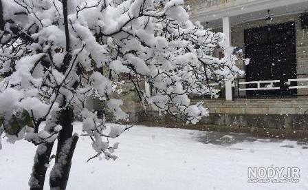 عکس آدم برفی ترسناک واقعی