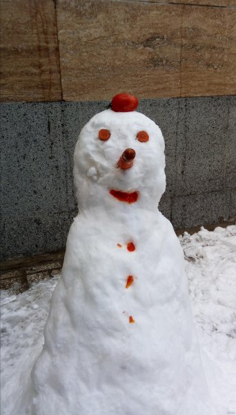  عکس آدم برفی واقعی زیبا