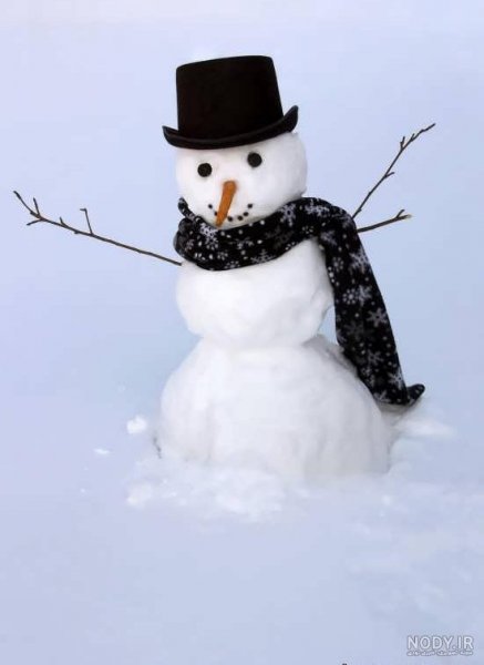  عکس آدم برفی واقعی زیبا