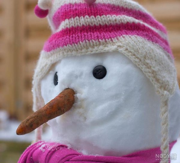  عکس آدم برفی واقعی زیبا