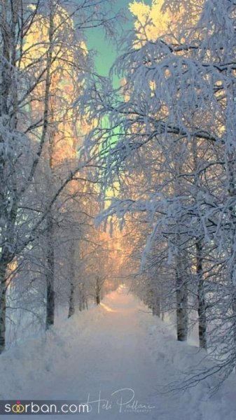  عکس برف واقعی برای پروفایل