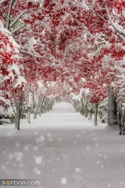  عکس برف واقعی برای پروفایل