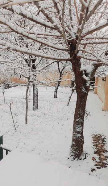  عکس برف برای پروفایل واتساپ