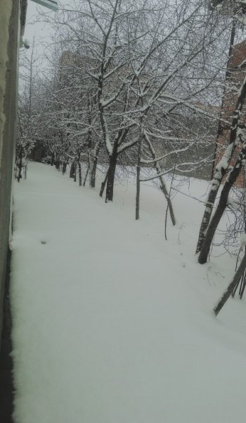  عکس پروفایل زمستانی لاکچری