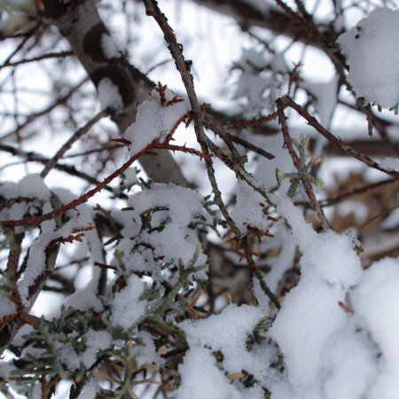  عکس پروفایل زمستانی لاکچری