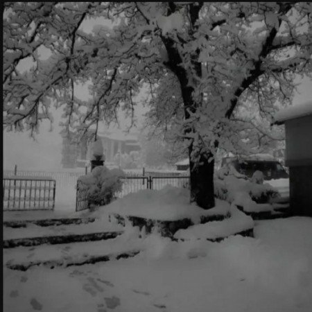  عکس پروفایل زمستانی لاکچری