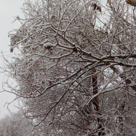  عکس پروفایل زمستانی لاکچری