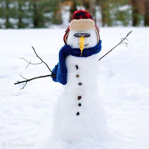 عکس آدم برفی ساده
