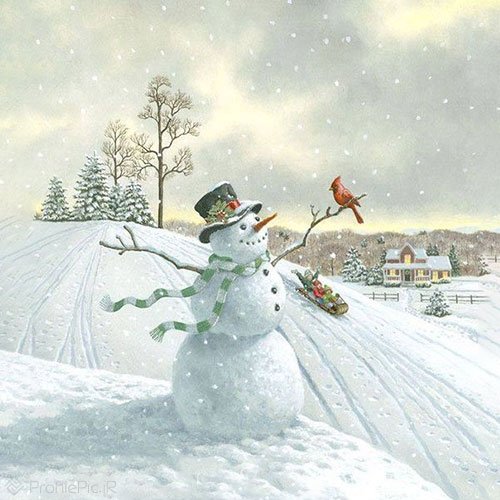 عکس آدم برفی ساده