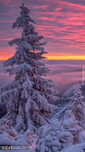  عکس پروفایل زمستانی خاص