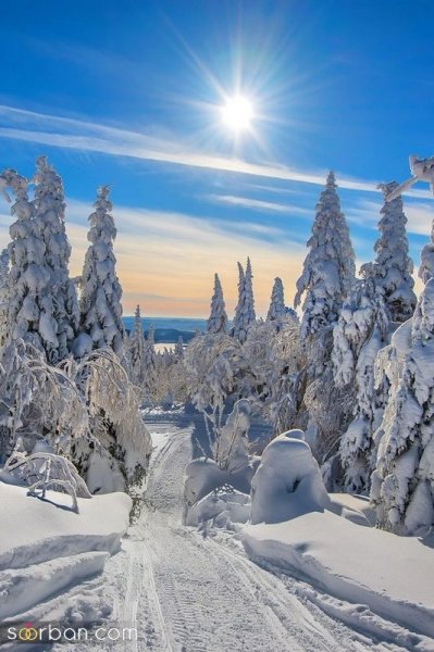  عکس پروفایل زمستانی خاص