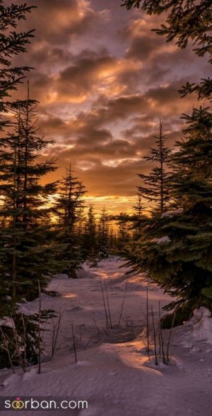  عکس پروفایل زمستانی خاص