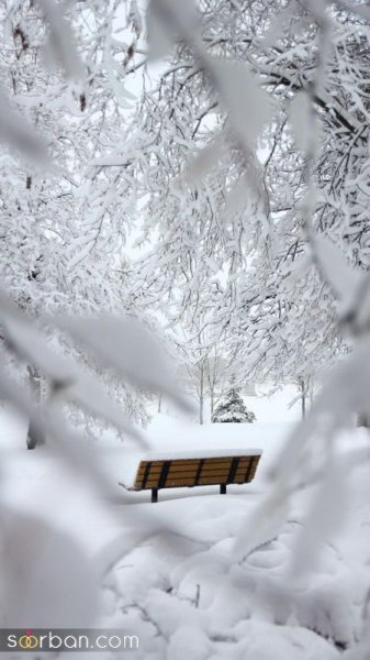  عکس برف زیاد