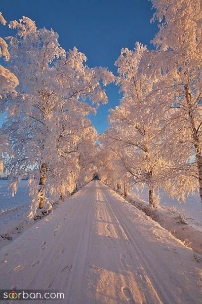  عکس برف در روز