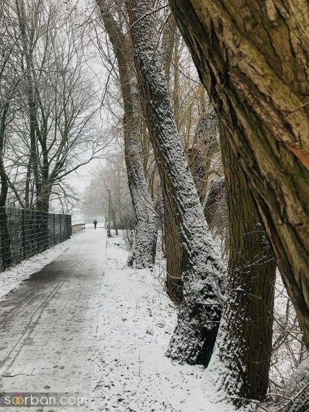  عکس برف در روز