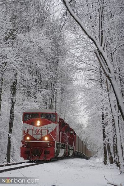  عکس برف در روز