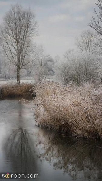  عکس برف در روز