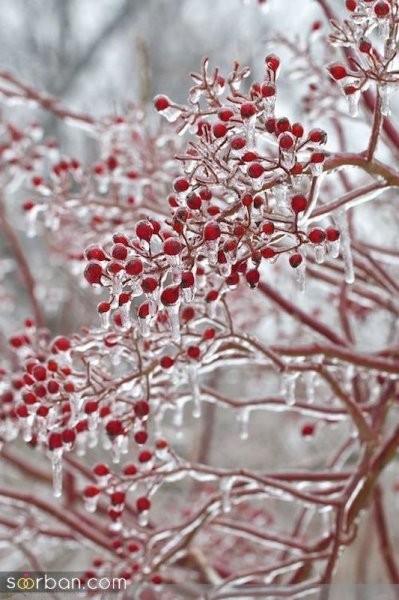  عکس زمستانی فانتزی