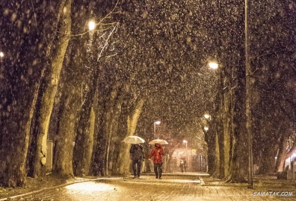  عکس برف در شب