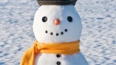  عکس برف در شب