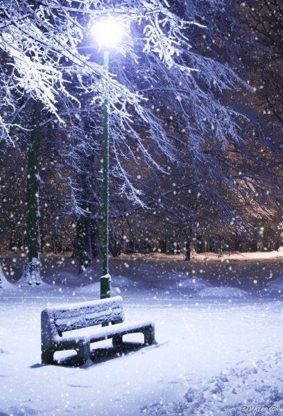  عکس برف در شب