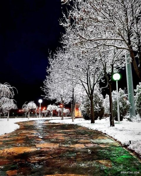  عکس برف در شب