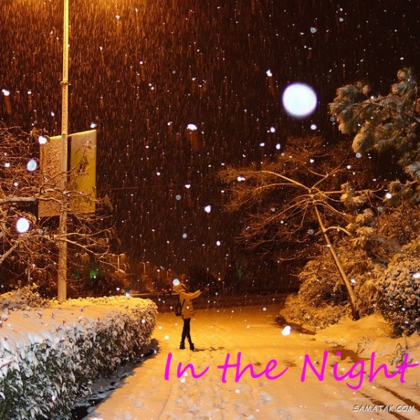  عکس برف در شب