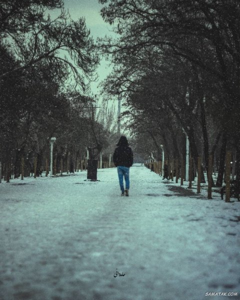  عکس برف در شب