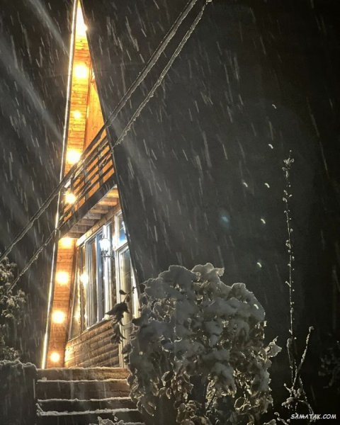  عکس برف در شب