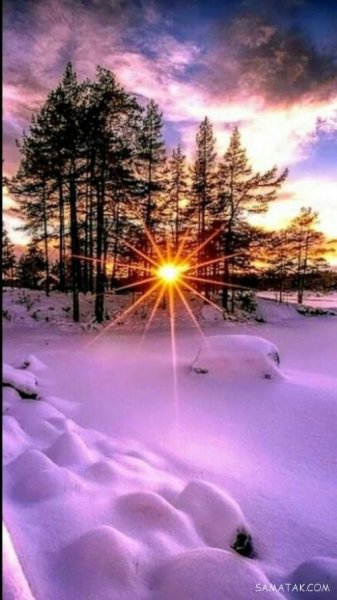  عکس برف در شب