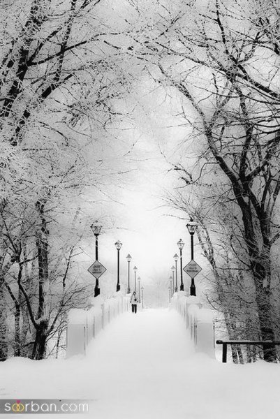 عکس برف زیبا