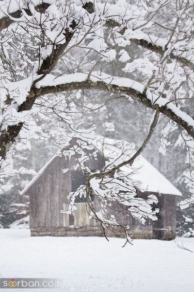  عکس برف زیبا