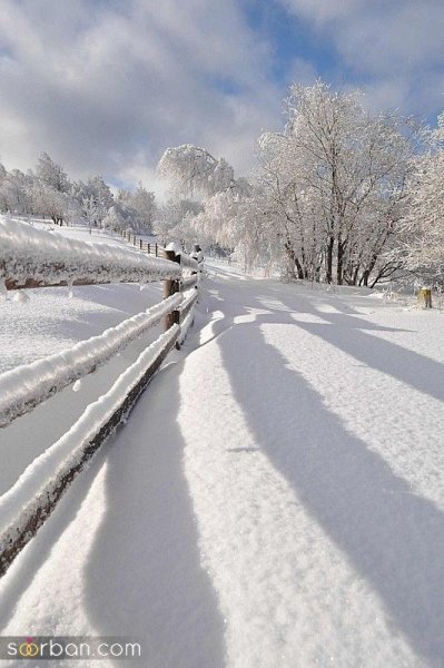  عکس برف زیبا