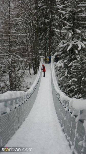  عکس برف زیبا