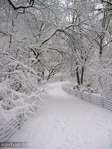  عکس برف زیبا