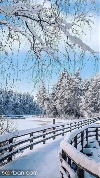  عکس برف زیبا