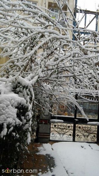  عکس برف زیبا