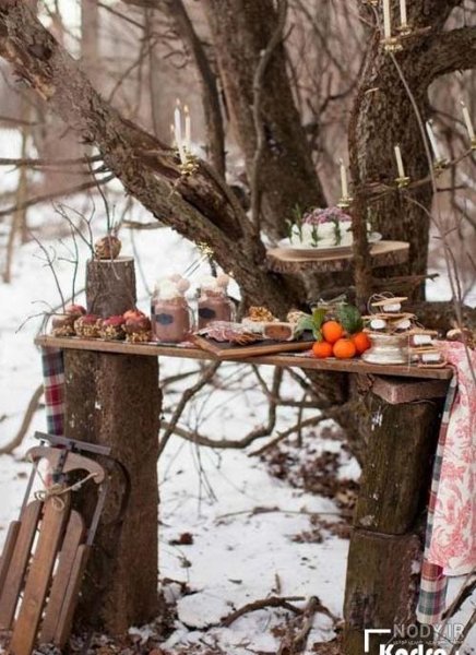 ایده تولد در برف