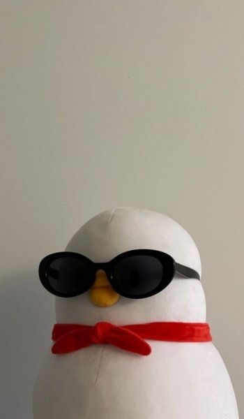  عروسک کیوت فانتزی