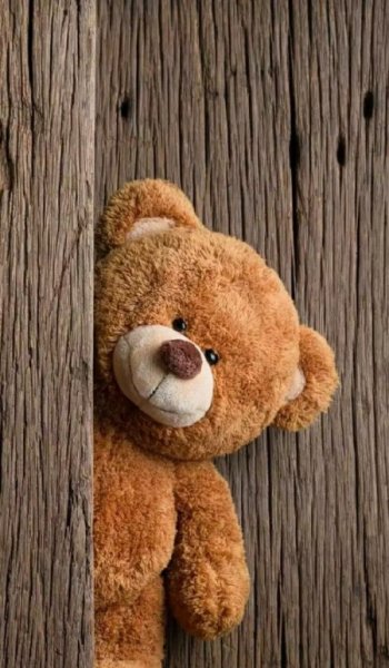  عکس خرس های کله فندقی برای پروفایل