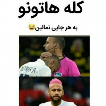  عکس خرس های کله فندقی برای پروفایل