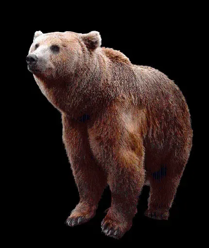  عکس خرس های کله فندقی پاندا