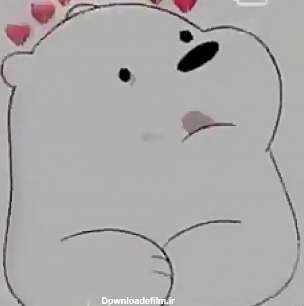 عکس خرس های کله فندقی برای پروفایل