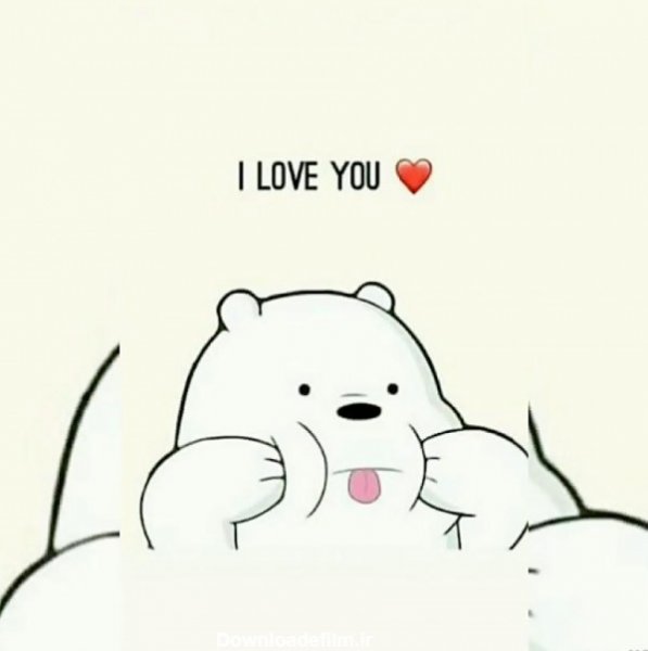 عکس خرس های کله فندقی برای پروفایل