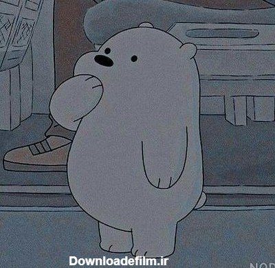 عکس خرس های کله فندقی برای پروفایل