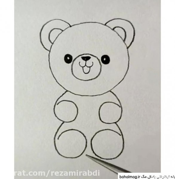 عکس خرس های کله فندقی برای پروفایل