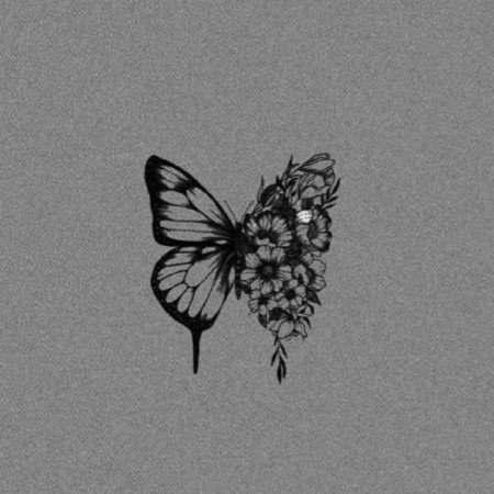  عکس سه کله پوک کیوت