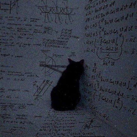  عکس سه کله پوک کیوت